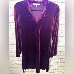 0851.  Velvet Long Sleeve Dress in Deep Red